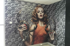 Ilve Showroom - print on plaster wall